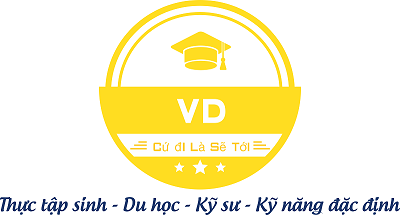 VD VIỆT NAM